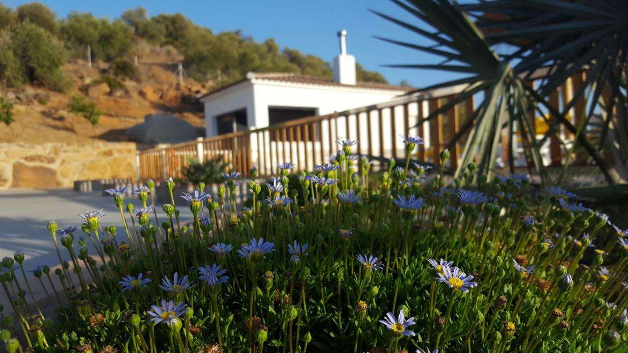 Villa Rural El Mirador アロラ エクステリア 写真